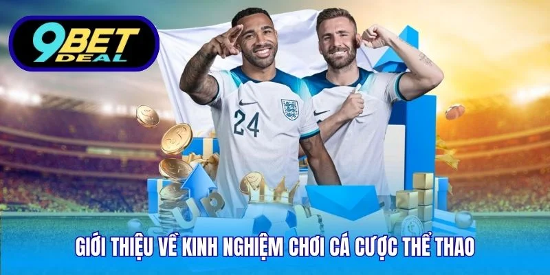 Giới thiệu về kinh nghiệm chơi cá cược thể thao