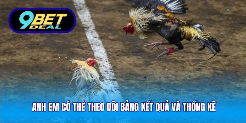 Anh em có thể theo dõi bảng kết quả và thống kê