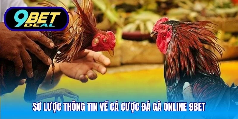 Sơ lược thông tin về cá cược đá gà online 9Bet